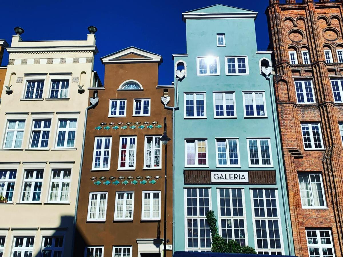 Nap Nadmotlawie Marina Gdansk